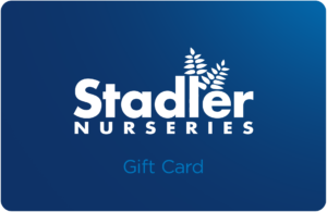 Stadler Nurseries blue gift card