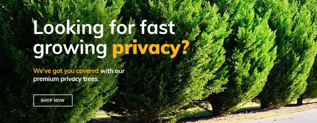 privacy trees