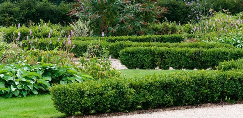 Formal garden with hedges and paths