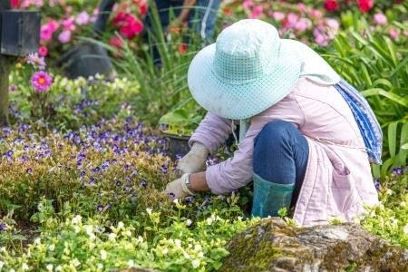 Woman in light teal hat tending to a garden