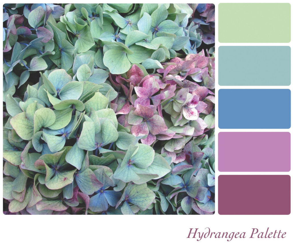 hydrangea color palette