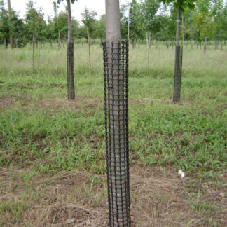 Black cages around tree trunks in nursery field