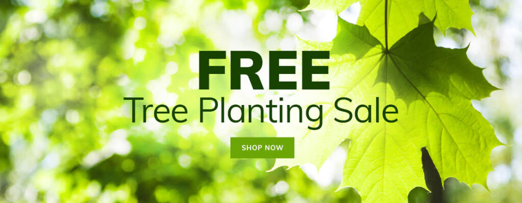 Announcing the tree planting sale.
