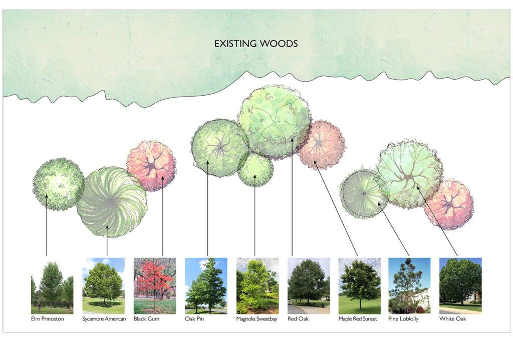 Tree Grove Planting Plan