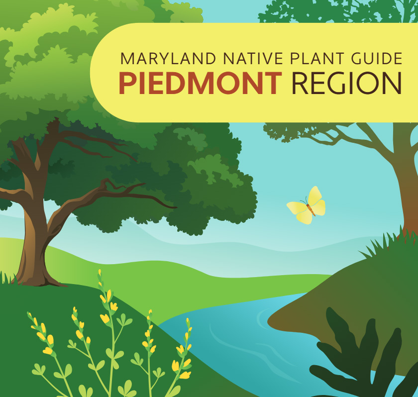 Maryland Native Plant Guide for the Piedmont Region cover graphic