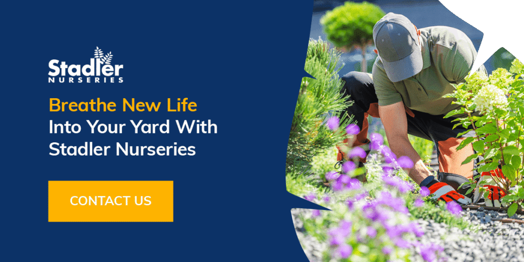Breathe New Life Into Your Yard With Stadler Nurseries
