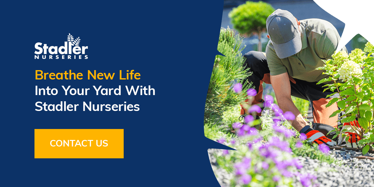 Breathe New Life Into Your Yard With Stadler Nurseries