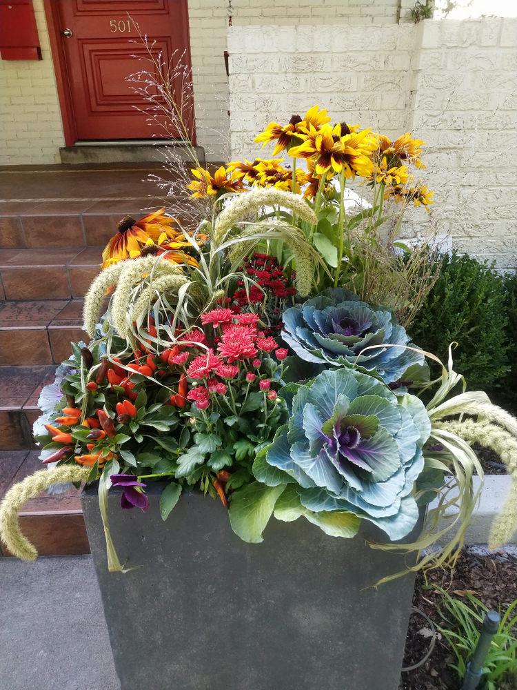 Flowers in a Planter on Front Step